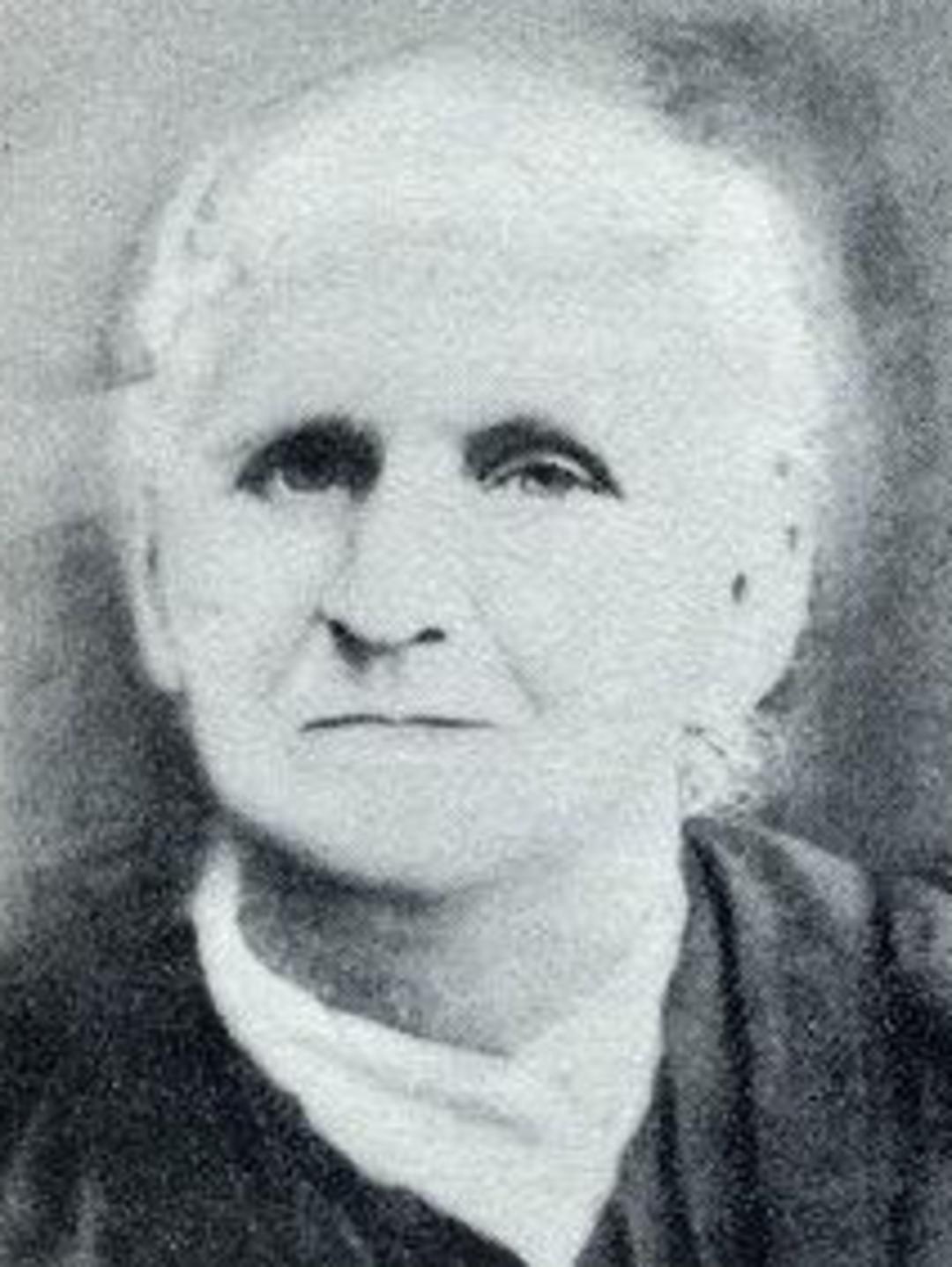 Elizabeth Dilworth (1829 - 1911) Profile